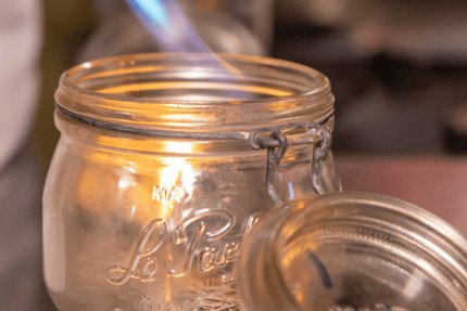 Un Canard Sous L Olivier