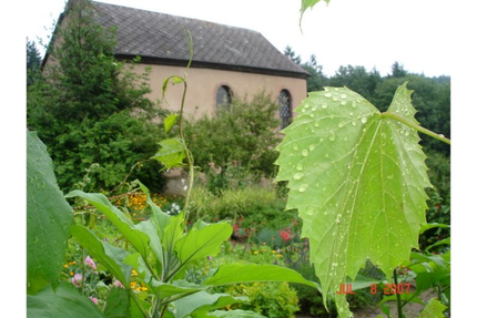 Restaurant Saint Alexis