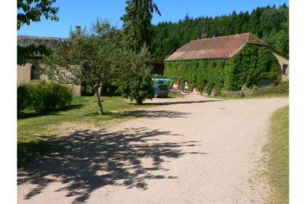 Restaurant Saint Alexis