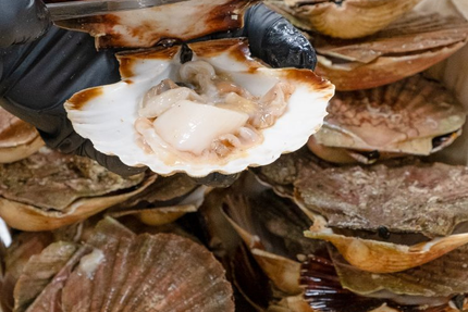 "La mangeoire" restaurant et bar