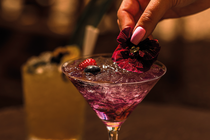 Domaine Le Fort De Saint Julien