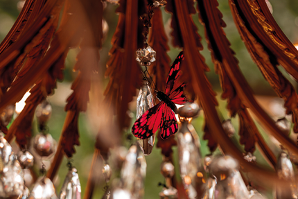 Domaine Le Fort De Saint Julien