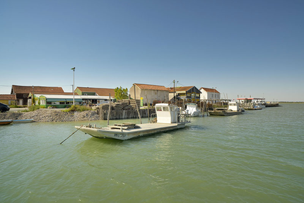 À La Bonne Renommée (ouvert en saison) - Huît'Renouleau (ouvert toute l’année 7/7)