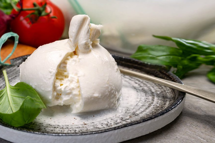 DELIZIA TRATTORIA - VILLEURBANNE