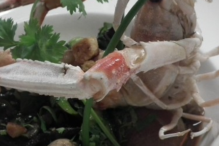 Campagne, Vignes et Gourmandises