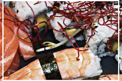 L'Uchiwa artisan sushi