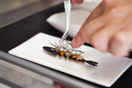 Méditerranéo - Château Capitoul