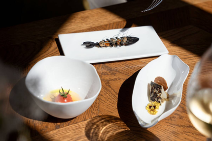 Méditerranéo - Château Capitoul