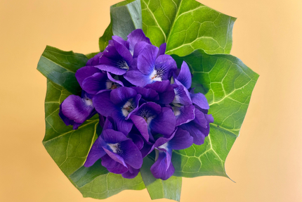 La Petite Crêperie, galettes salées et crêpes sucrées (faîtes maison), café, thé, chocolat, glaces