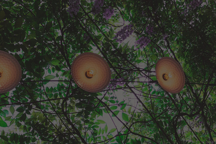 Kimm & Ridge. | Restaurant