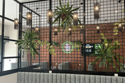 Crousty Crispy Qwartz