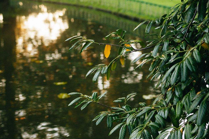 Ar Milin' - Le Bistrot