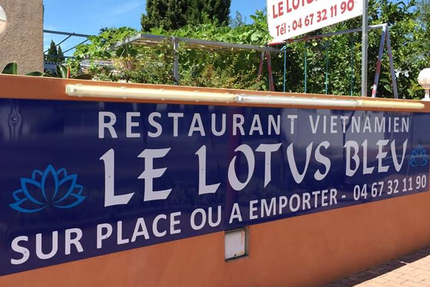 Le lotus bleu