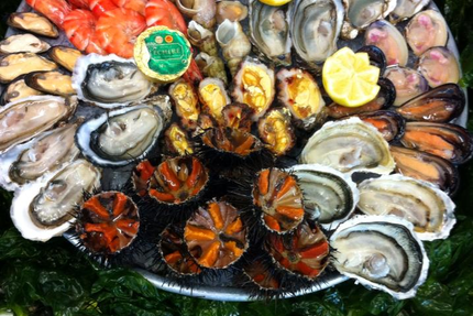 Coquillages Neptune