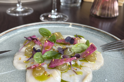 Les Enfants Terribles