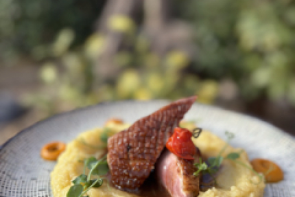 Le Mazet sous les platanes