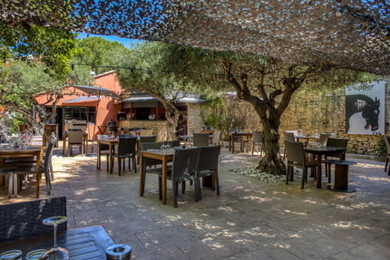 Le Mazet sous les platanes