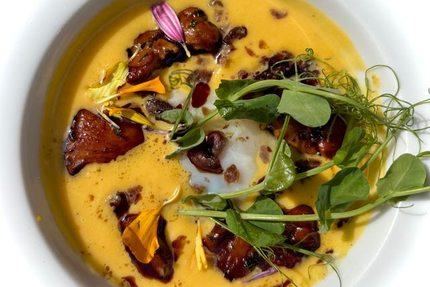 Le Mazet sous les platanes