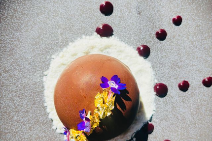 Le Mazet sous les platanes