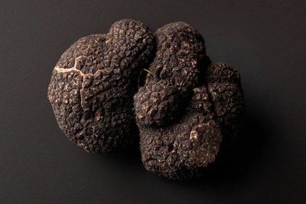 Meat my fish Boissière