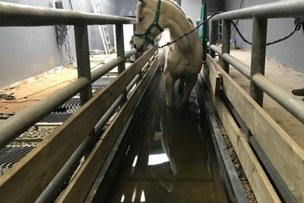 le kota grill à Warincthun