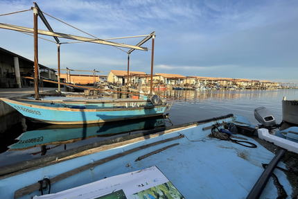 Maison Lardat Coquillages