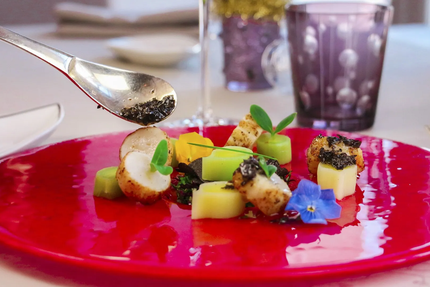 Moulin des 4 Saisons