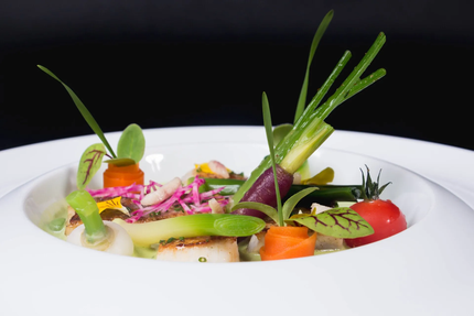 Moulin des 4 Saisons