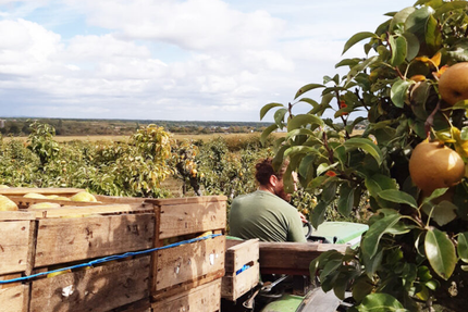 SERENEST ENTREPRISE - AXE DE SEINE