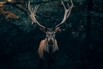 Bistrot Le Bien Aller