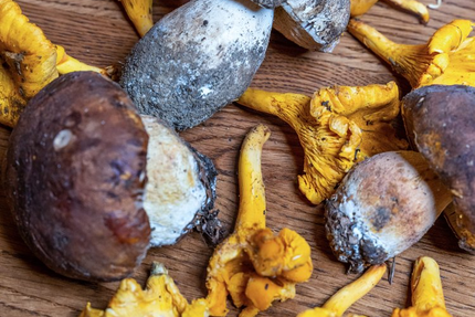 HOTEL / RESTAURANT DU SOLEIL