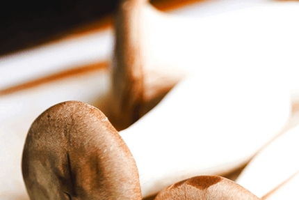 Restaurant La Braise