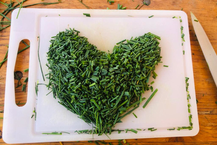 La Guinguette de la Plage