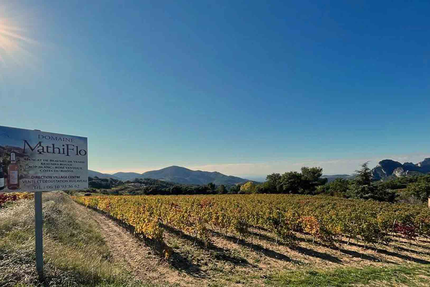 Domaine / Restaurant Mathiflo Cave à Vin Suzette