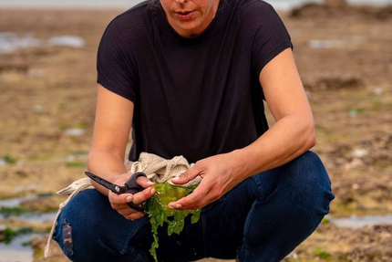 Fumoir d'Angoulins • RESTAURANT BOUTIQUE TRAITEUR