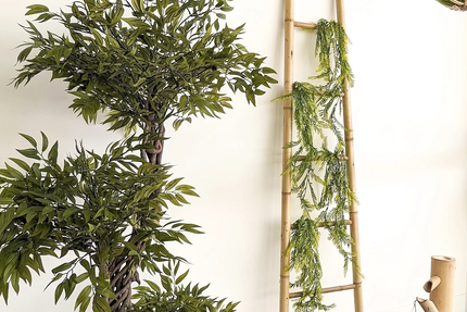 Au Jardin des Nymphéas