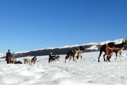Nordicateam-Relais de Lascourt