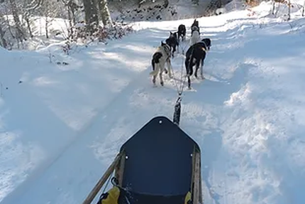 Nordicateam-Relais de Lascourt