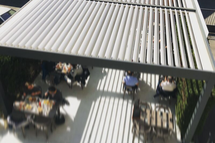 Ô mouton à 5 pattes