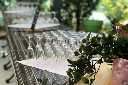 Ô mouton à 5 pattes