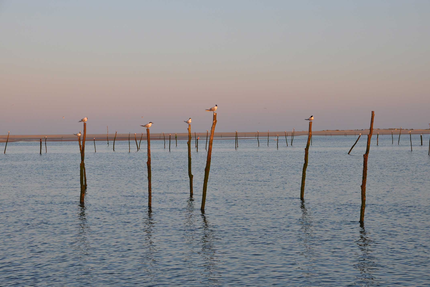 La Cabane du Mimbeau