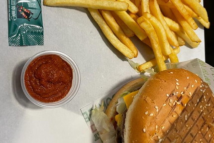 Le Terminus Food Pérols