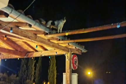 L'Orangé de Provence