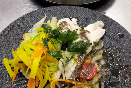 El Gusanillo Concept