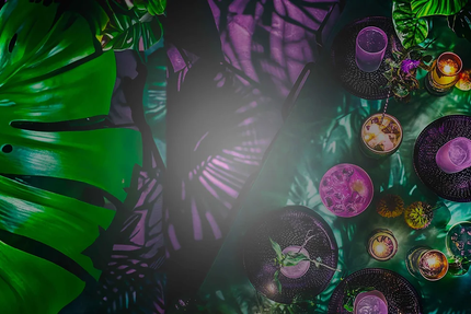 In Jungle - Resto Pub/club Hôtel