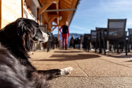 Restaurant Le Baille à Berre
