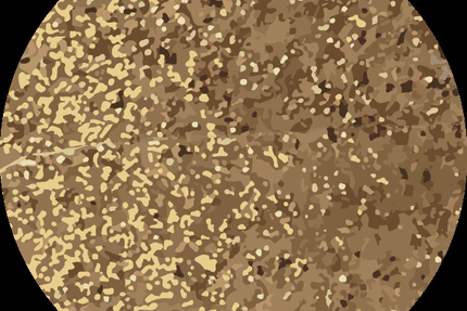 Fujiya Sushi I Buffet à volonté