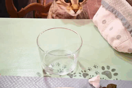 ronron et gourmandises