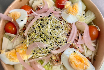 L' Âne N'est Rien !