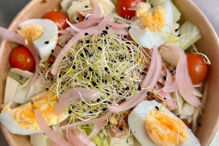 L' Âne N'est Rien !